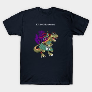 Clanosaurus Rex KILDAREsaurus Plaid Kildare Irish Ireland Family Tartan T-Shirt